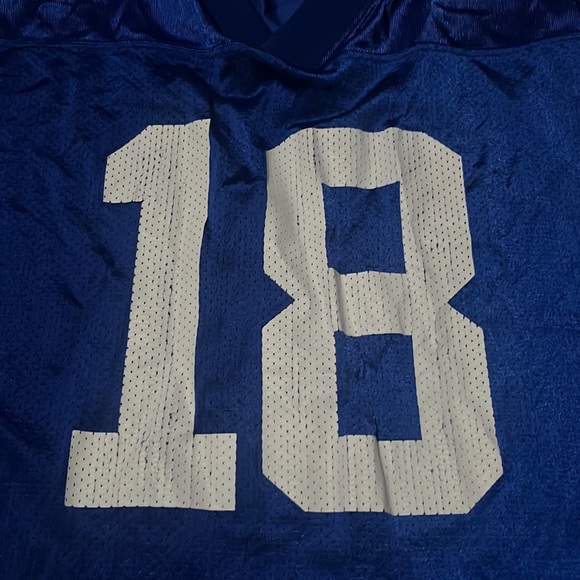 INDIANAPOLIS COLTS ~ PEYTON MANNING #18 ~ Large Blue Puma Football Jersey - Picture 3 of 11